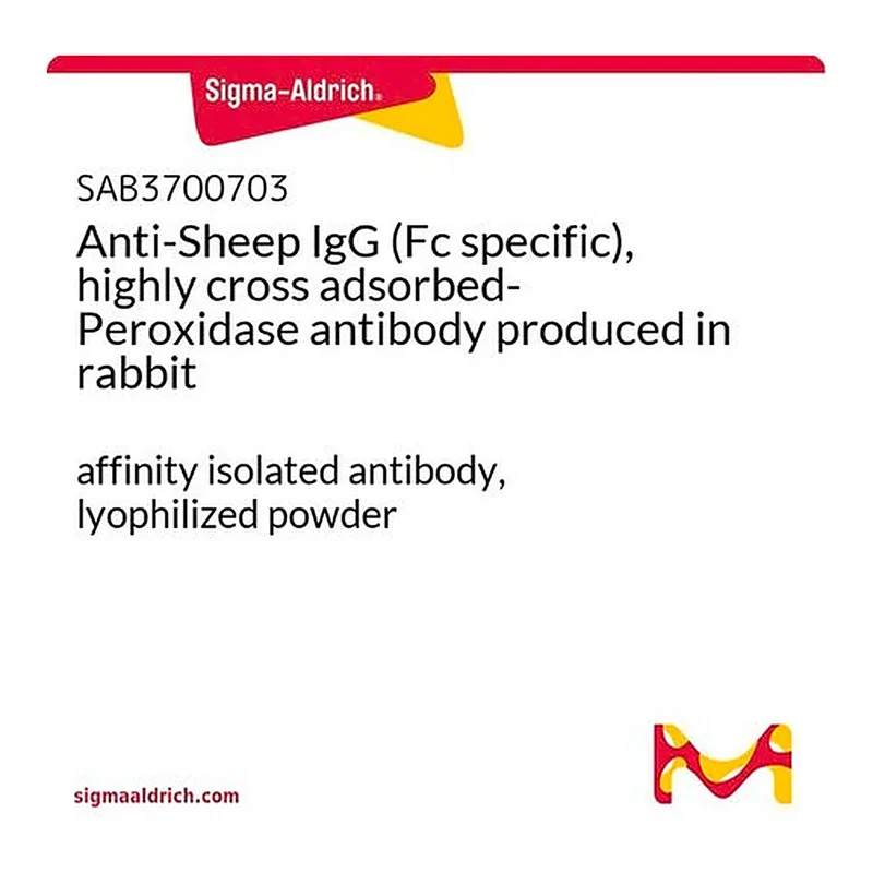 Merck Anti-Sheep IgG (Fc specific), highly cross adsorbed-Peroxidase antibody produced in rabbit