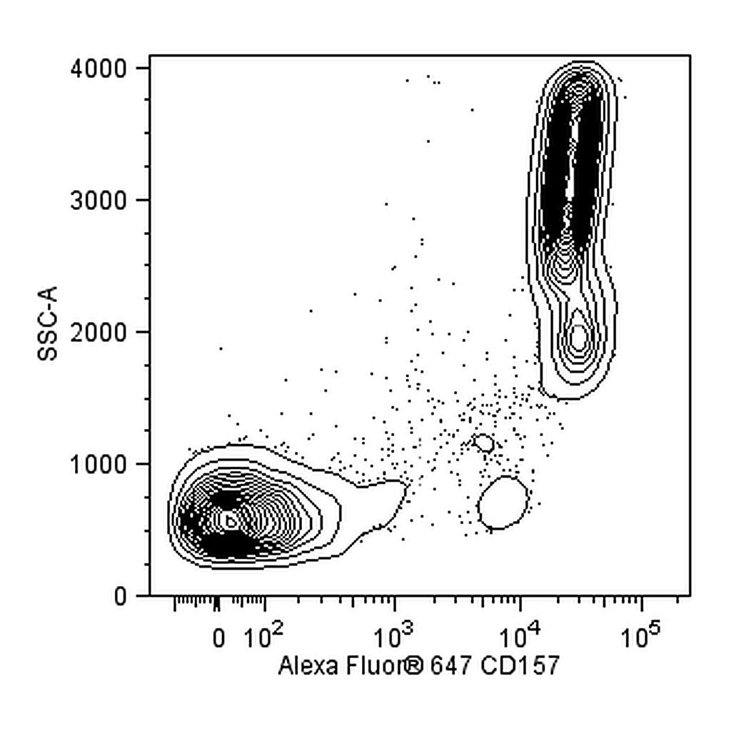 BD Alexa Fluor® 647 Mouse anti-Human CD157