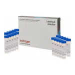 Thermo Fisher Scientific CM-H2DCFDA (General Oxidative Stress Indicator)