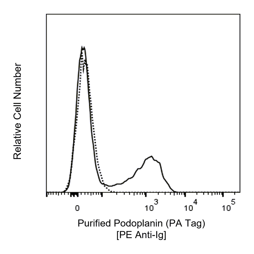 BD Purified Rat Anti-Human Podoplanin (PA Tag)