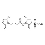 Merck Sulfo-N-succinimidyl 4-maleimidobutyrate sodium salt