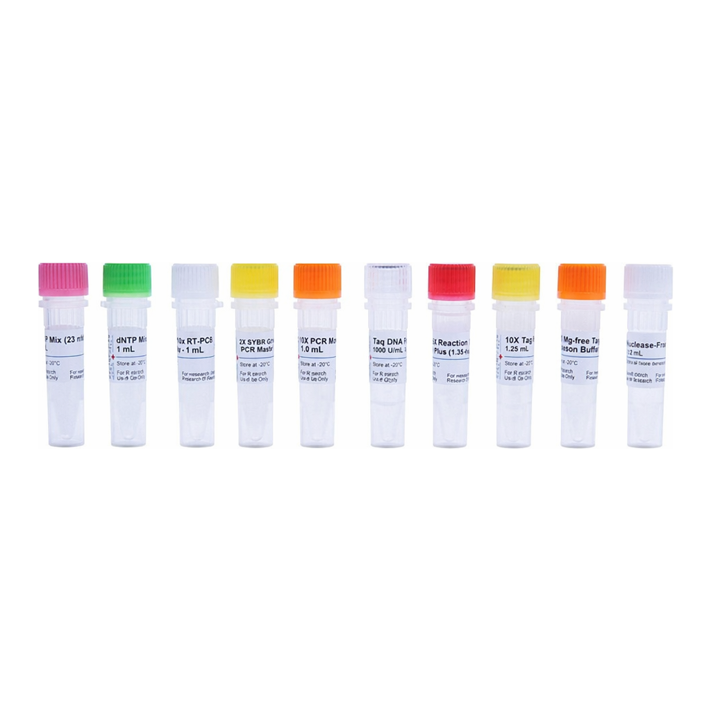 Norgen Homologous Recombination Assay Kit