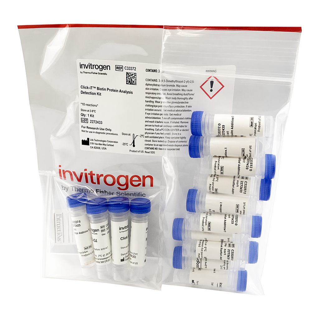 Thermo Fisher Scientific Click-IT Biotin Protein Analysis Detection Kit