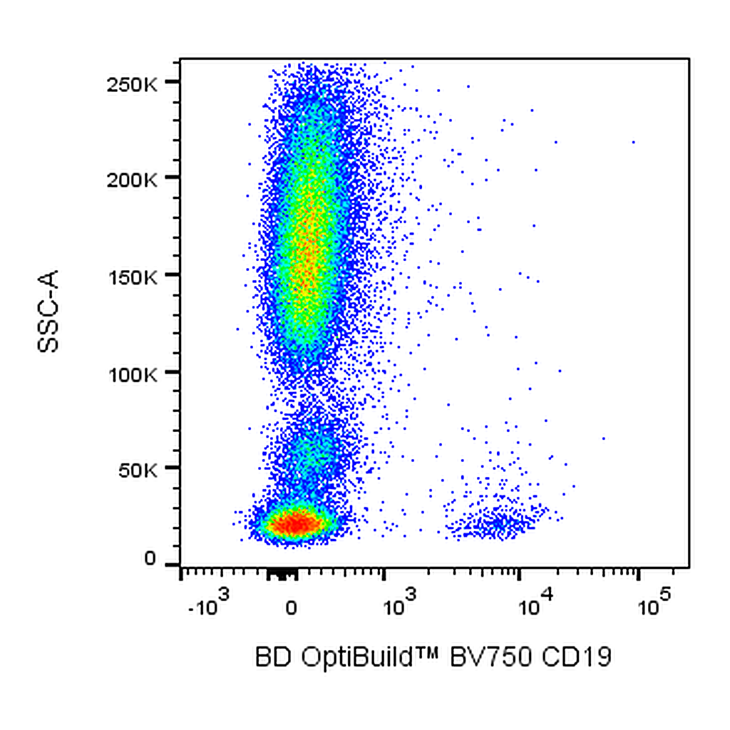 BD BV750 Mouse Anti-Human CD19