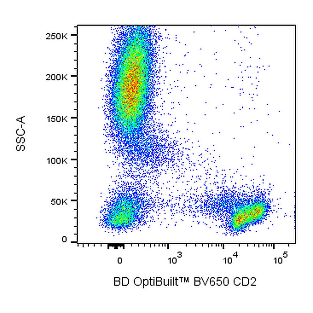 BD BV650 Mouse Anti-Human CD2