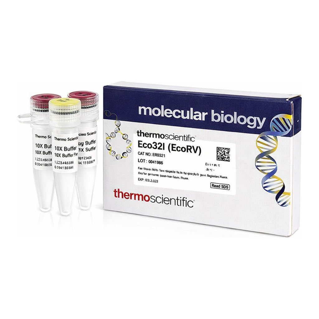 Thermo Fisher Scientific Eco32I (EcoRV) (10 U/&mu;L), 2,000 units