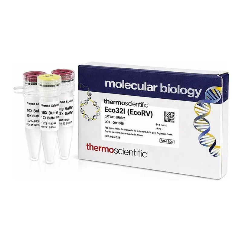 Thermo Fisher Scientific Eco32I (EcoRV) (10 U/μL), 2,000 units