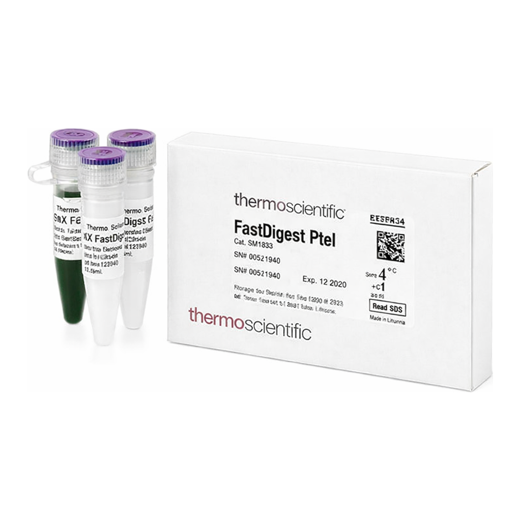 Thermo Fisher Scientific FastDigest PteI