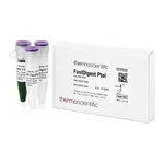 Thermo Fisher Scientific FastDigest PteI