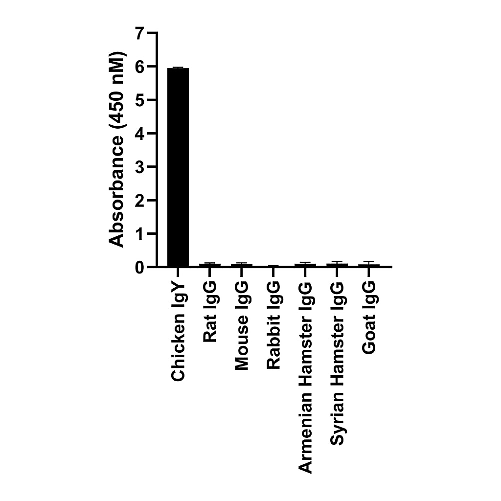 Thermo Fisher Scientific Donkey anti-Chicken IgY (H+L) Highly Cross Adsorbed Secondary Antibody, Alexa Fluor 647
