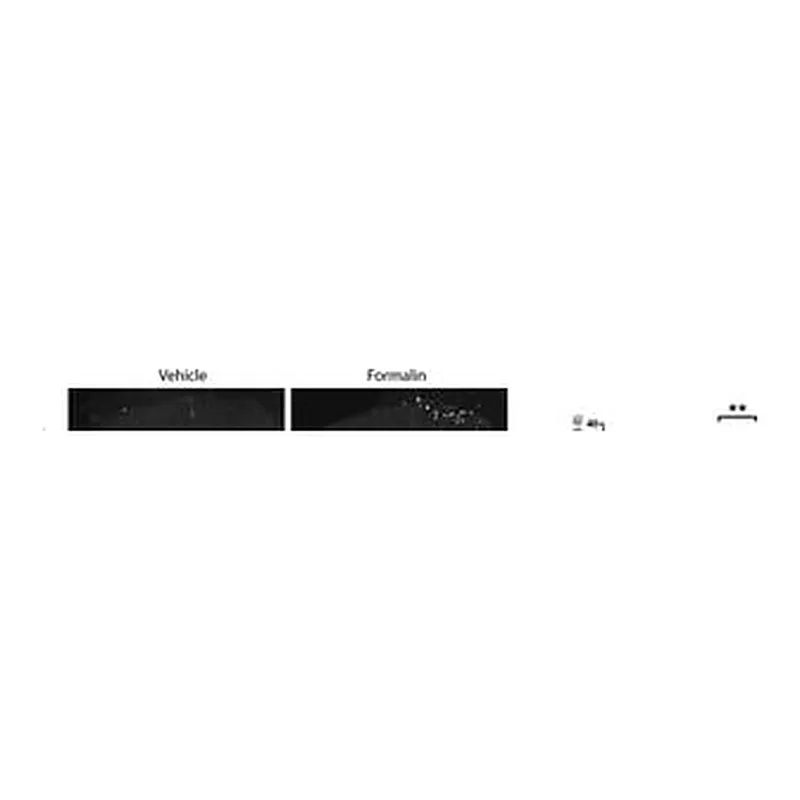 Merck RABBIT ANTI-CALCITONIN GENE RELATED &