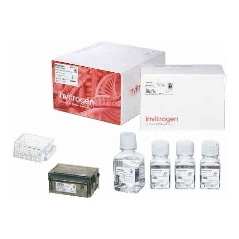 Thermo Fisher Scientific Neon NxT Electroporation System 100 μL Kit with 8-Channel Tubes, 384 x 2 reactions
