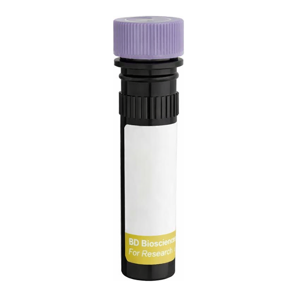 BD RY743 Mouse Anti-Rat Marginal Zone B Cells