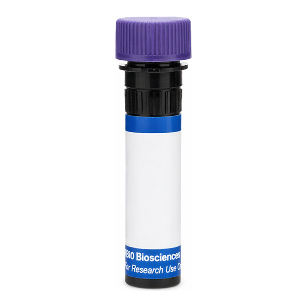 BD RB744 Rat Anti-Mouse Delta-Like Protein 1