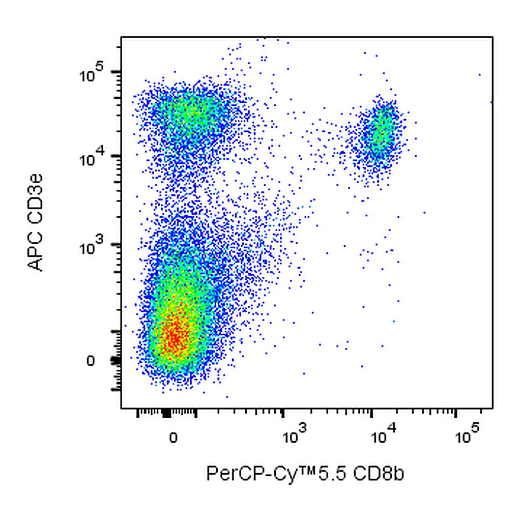 BD PerCP-Cy5.5 Rat Anti-Mouse CD8b