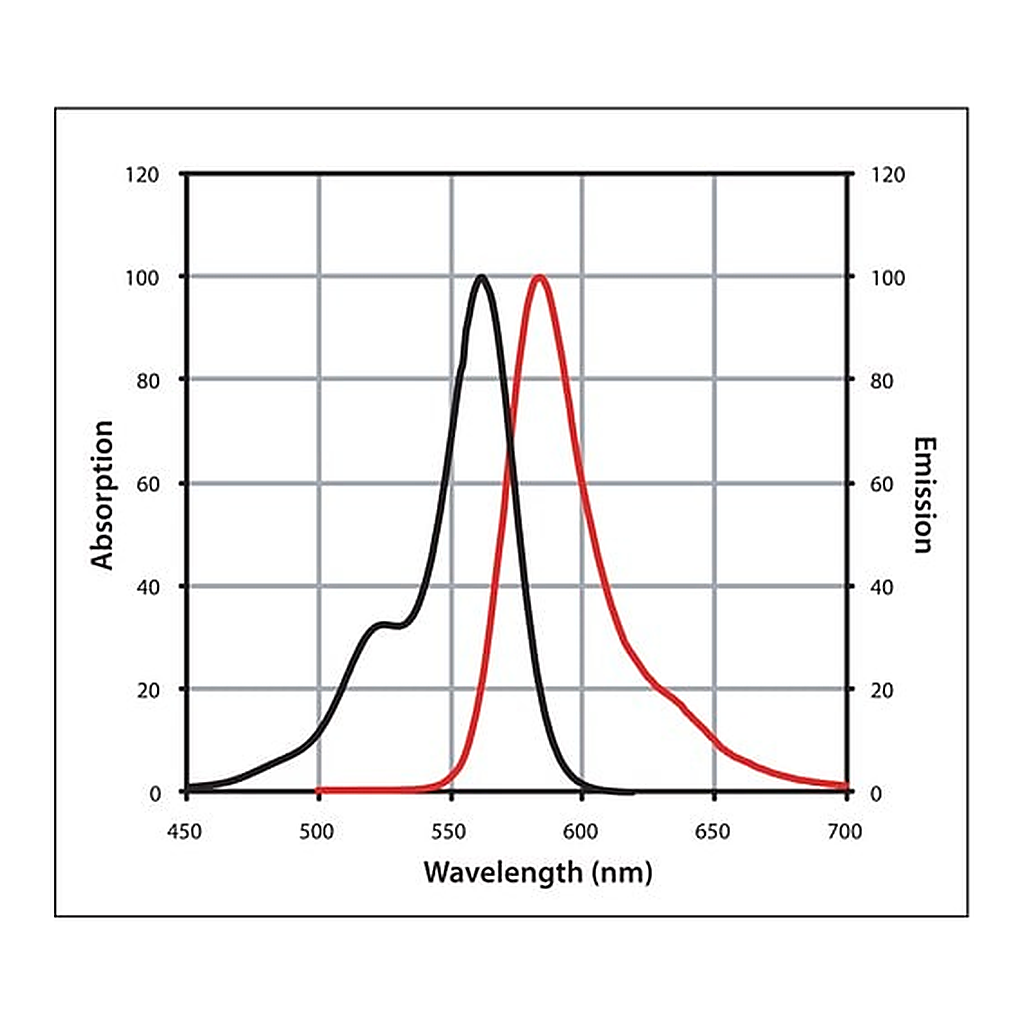 Merck Anti-Mouse IgG (H+L), highly cross-adsorbed, CF(TM) 568 antibody produced in goat