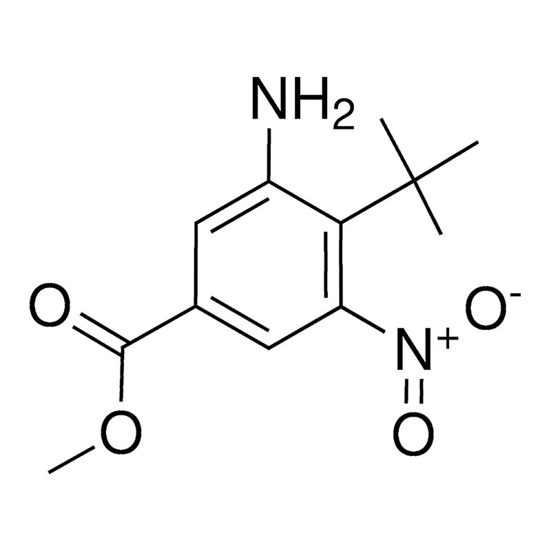 Merck METHYL 3-AMINO-4-TERT-BUTYL-5-NI-