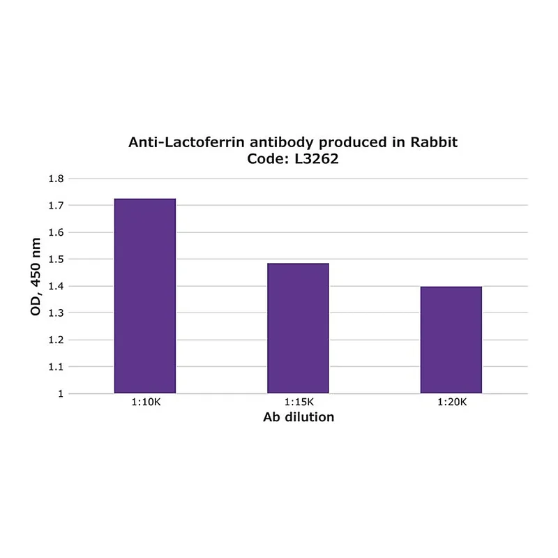 Merck Anti-Lactoferrin antibody produced in rabbit