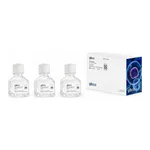 Thermo Fisher Scientific AAV-MAX Transfection Kit, 1 kit for 1 L of production