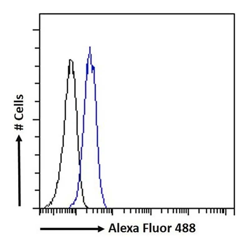 Merck Anti-PINK1 antibody produced in goat