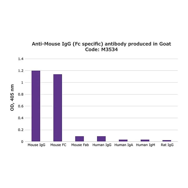 Merck Anti-Mouse IgG (Fc specific) antibody produced in goat