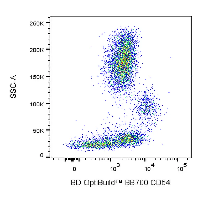 BD BB700 Mouse Anti-Human CD54
