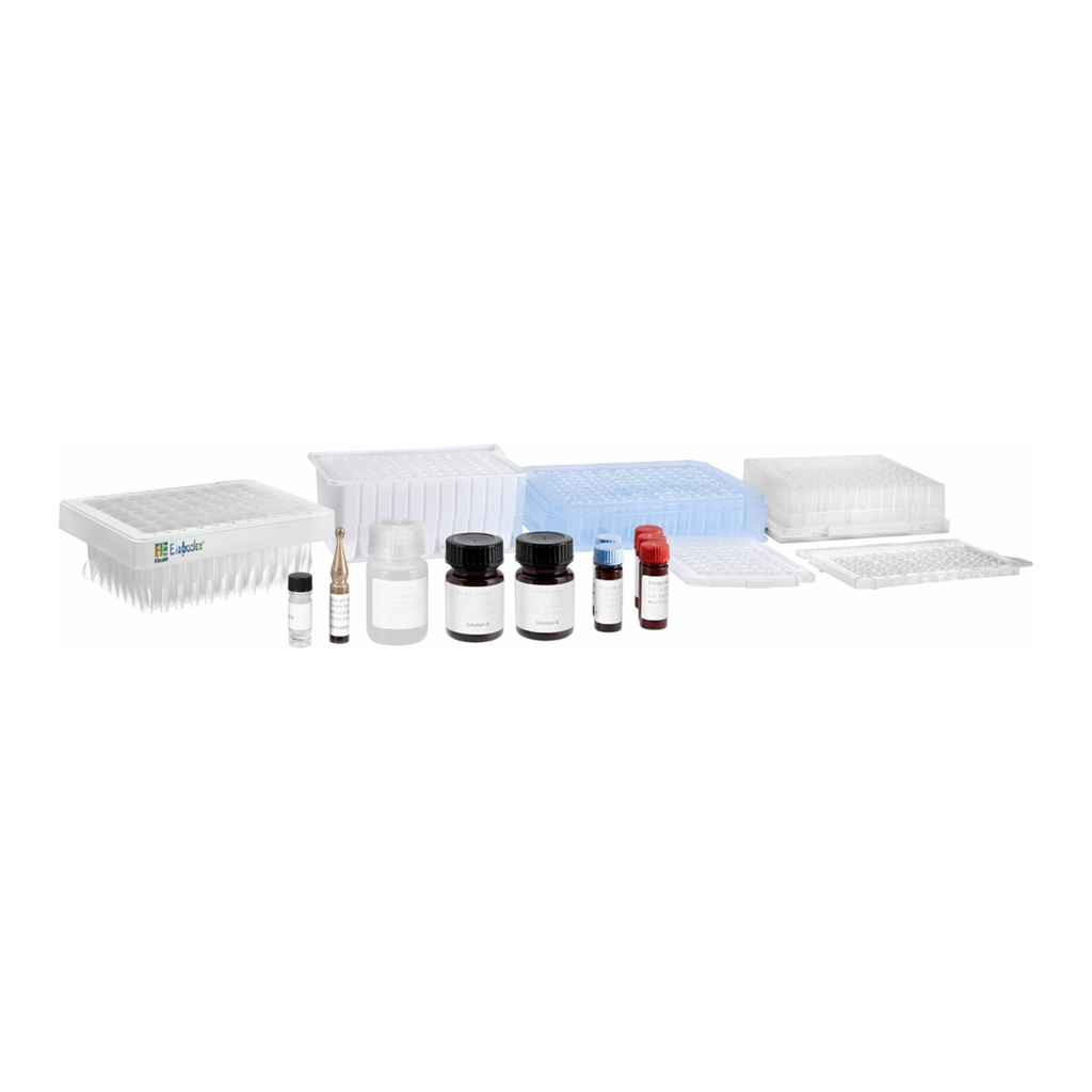 Waters ProteinWorks eXpress Direct Digest Start-up Kit
