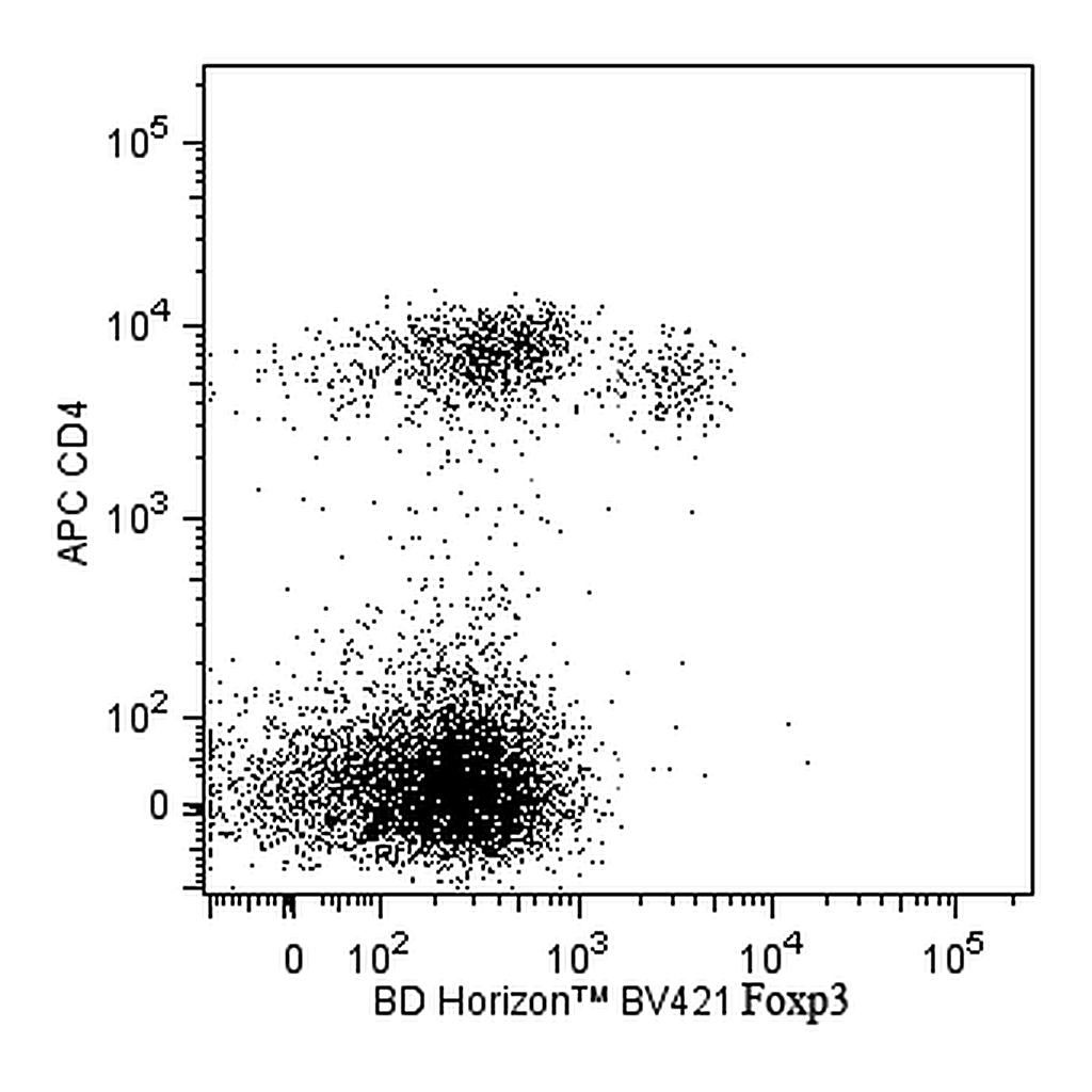 BD BV421 Rat Anti-Mouse Foxp3
