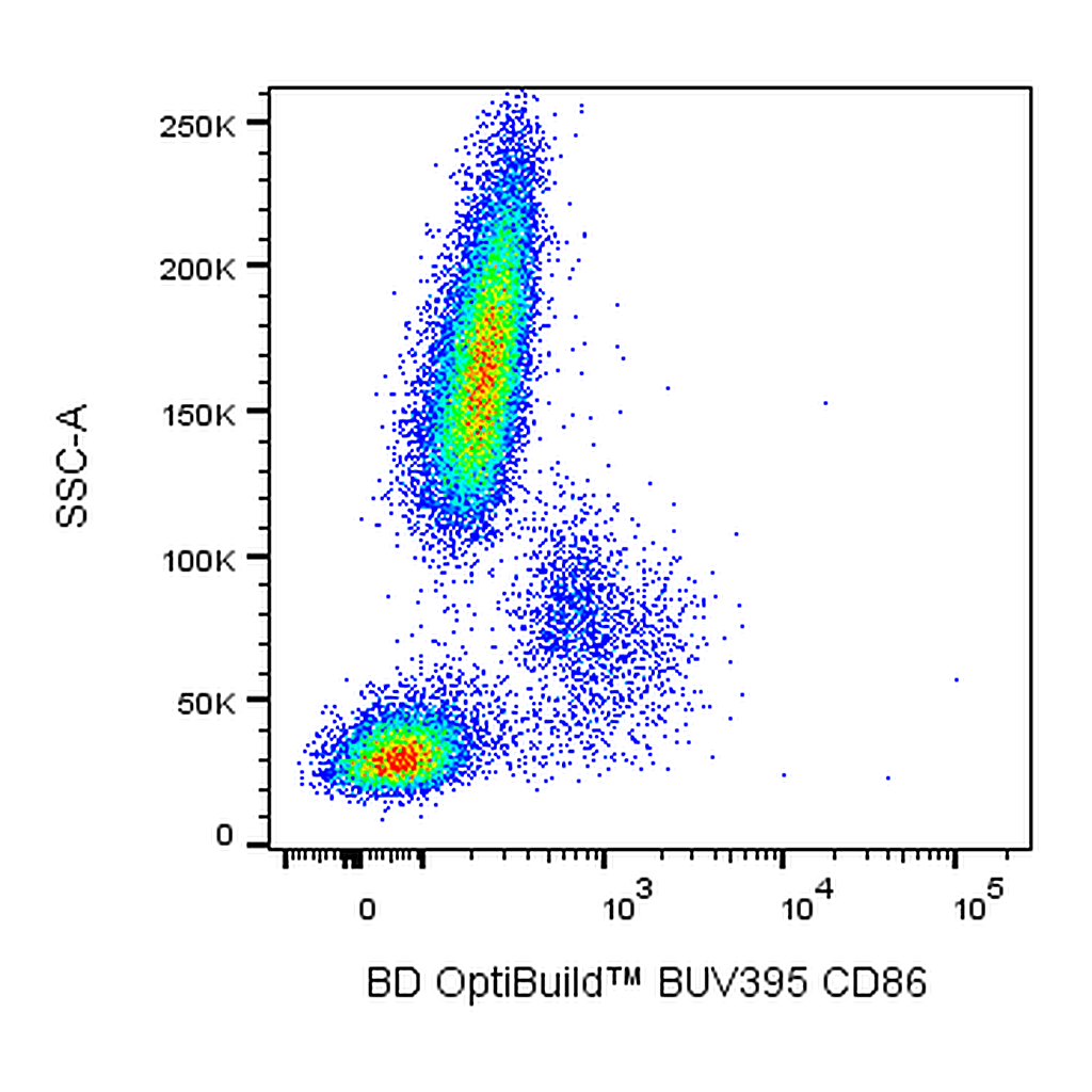 BD BUV395 Mouse Anti-Human CD86