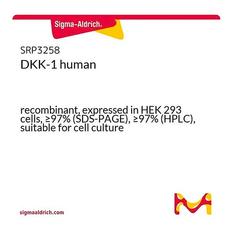Merck DKK-1 human