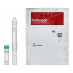 Thermo Fisher Scientific Click-iT Alexa Fluor 488 sDIBO Alkyne for Antibody Labeling, 1 each