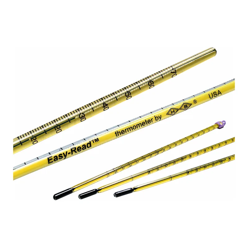Merck Easy-Read(R) thermometer