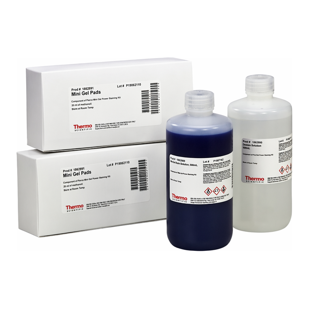 Thermo Fisher Scientific Pierce Mini Gel Power Staining Kit