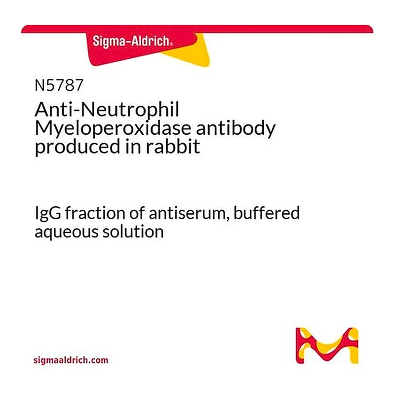 Merck Anti-Neutrophil Myeloperoxidase antibody produced in rabbit