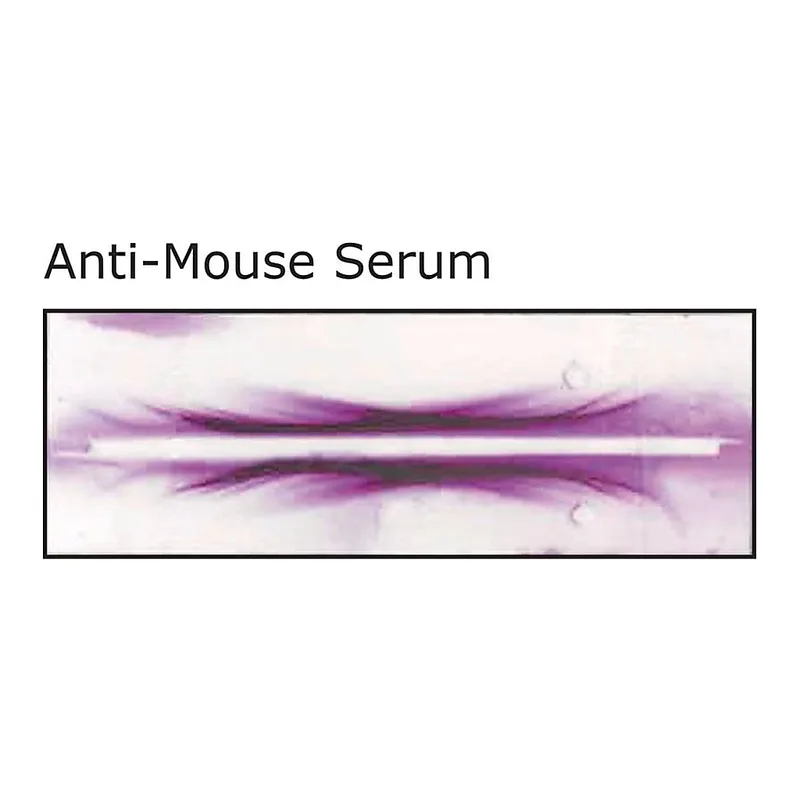 Merck Anti-Mouse Serum antibody produced in rabbit