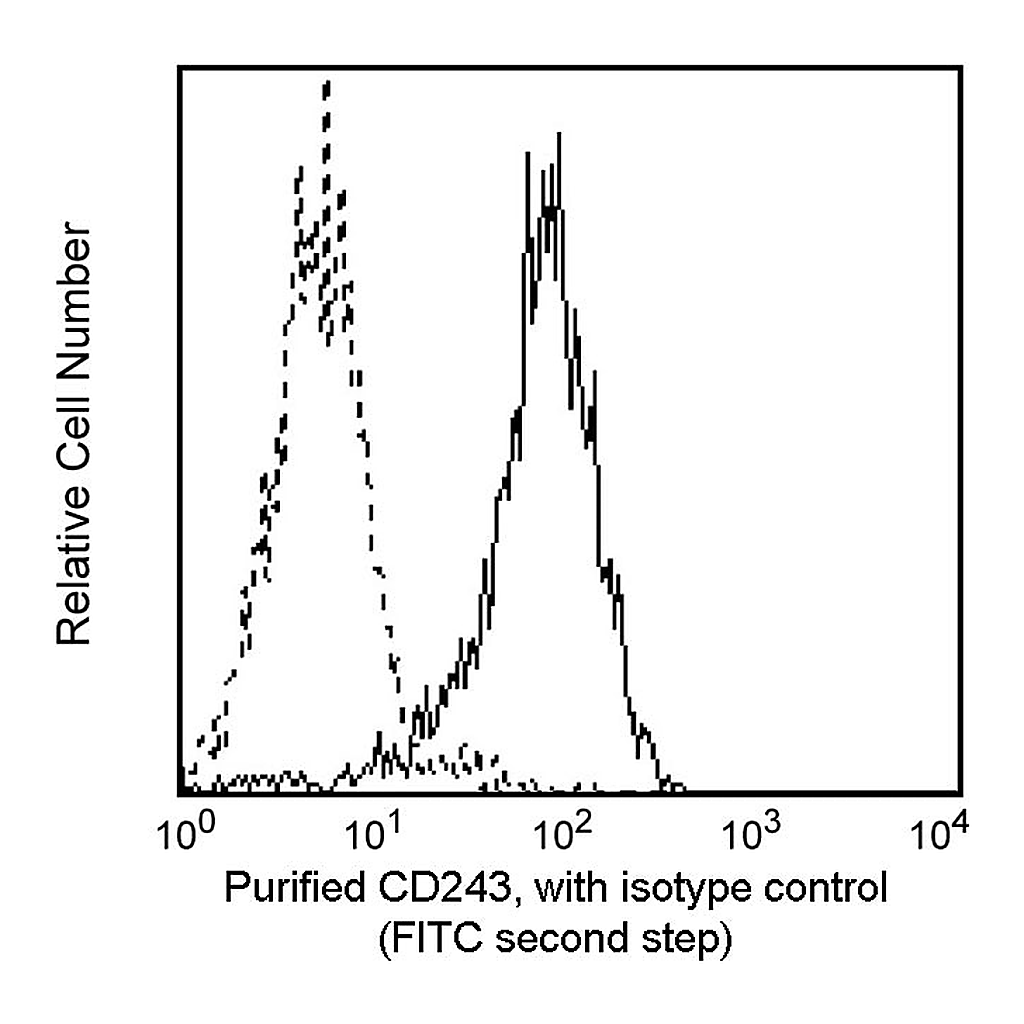 BD Purified Mouse Anti-Human P-glycoprotein (CD243)