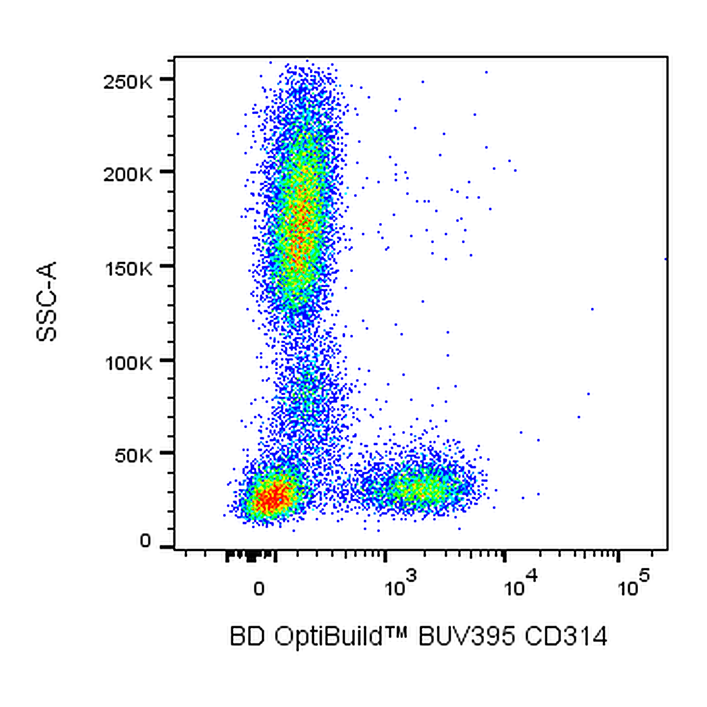 BD BUV395 Mouse Anti-Human CD314 (NKG2D)