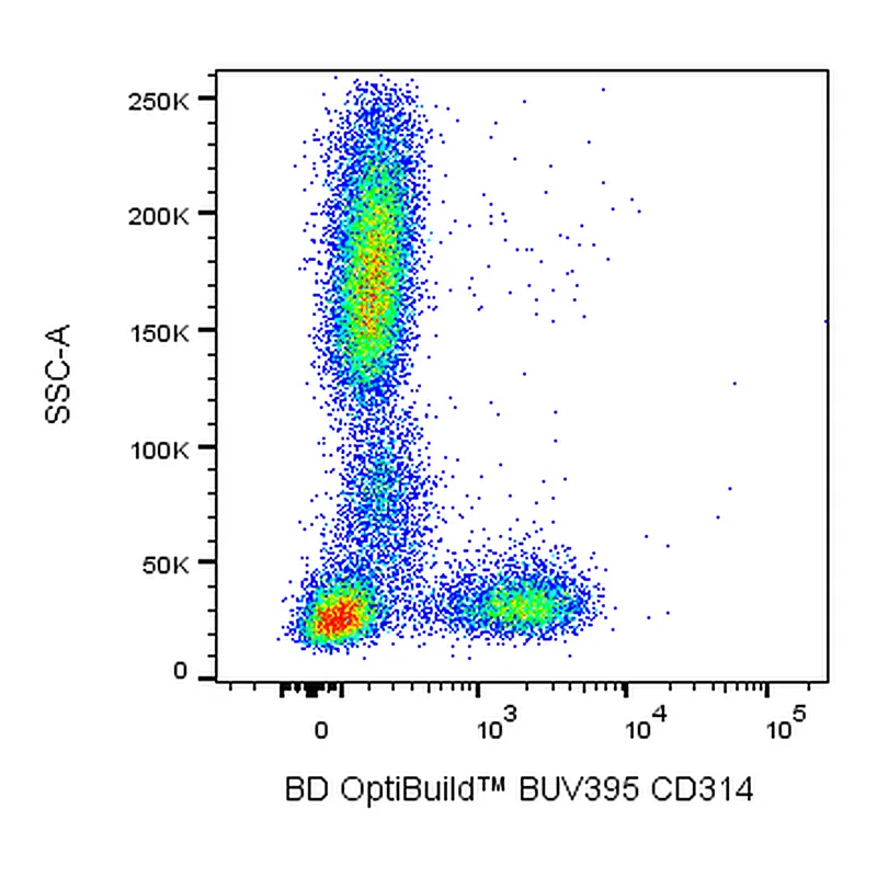 BD BUV395 Mouse Anti-Human CD314 (NKG2D)