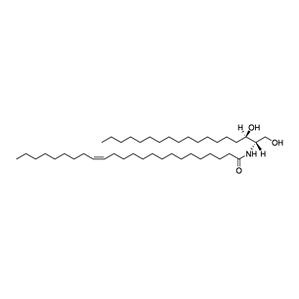 Merck C24:1 DIHYDROCERAMIDE (D18:0/24:1(15Z))