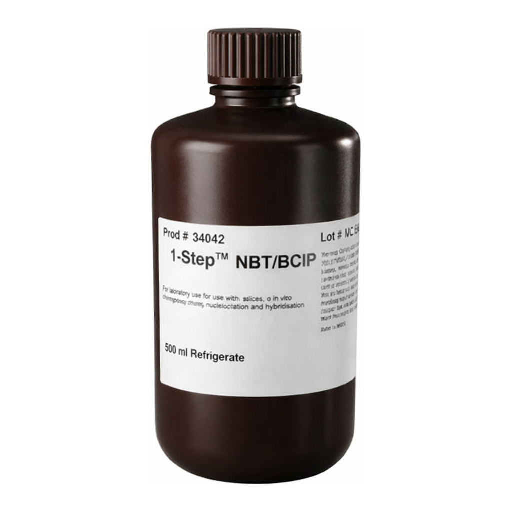 Thermo Fisher Scientific 1-Step NBT/BCIP Substrate Solution