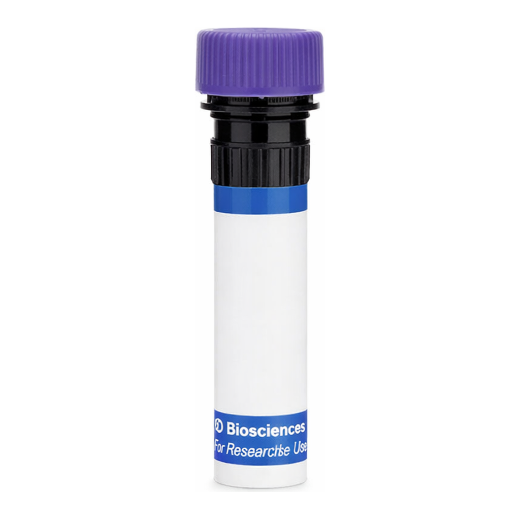 BD RB744 Mouse Anti-Human HLA-DQ