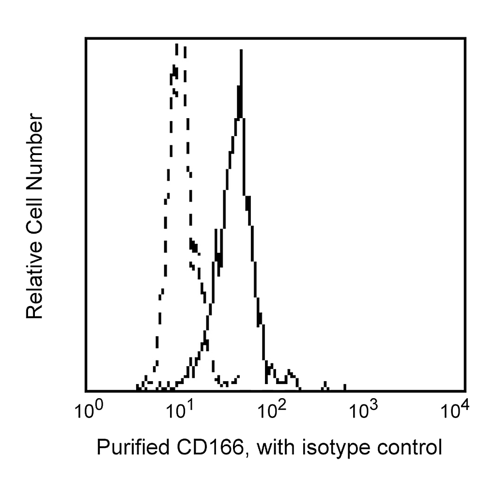 BD Purified Mouse Anti-Human CD166