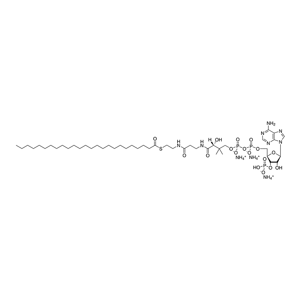 Merck 25:0 Coenzyme A