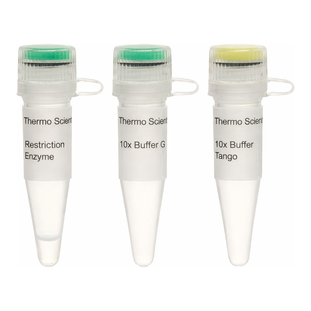 Thermo Fisher Scientific Psp5II (PpuMI) (10 U/&mu;L)
