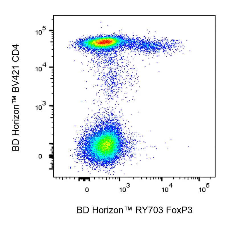 BD RY703 Mouse Anti-Human FoxP3