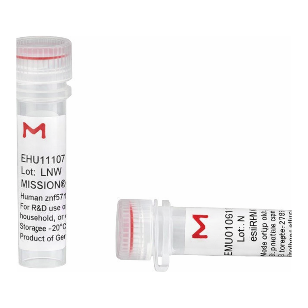 Merck MISSION(R) esiRNA