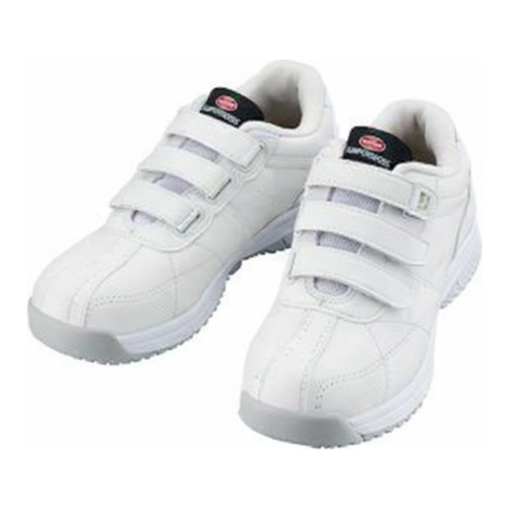 AS ONE Antistatic Safety Shoes, 제전 안전화