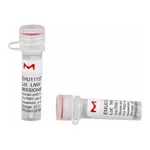 Merck MISSION(R) esiRNA