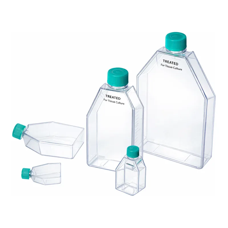 Daihan Science Biofil Cell and Tissue-Culture Flask, PS, TC-treated or Non-treated, Sterile, Q