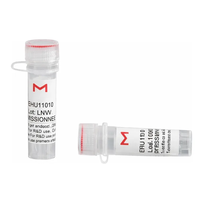 Merck ESIRNA MOUSE EGR2